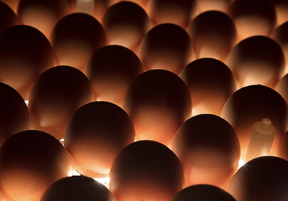 Ag亚洲集团(中国区)官方网站