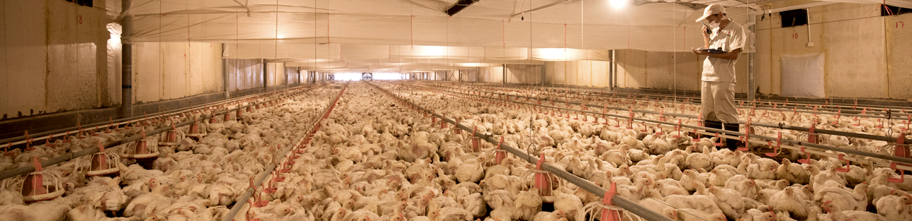 Ag亚洲集团(中国区)官方网站