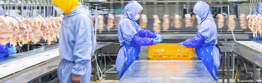 Ag亚洲集团(中国区)官方网站