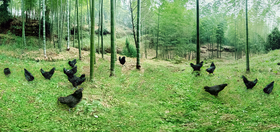 Ag亚洲集团(中国区)官方网站