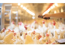 Ag亚洲集团(中国区)官方网站