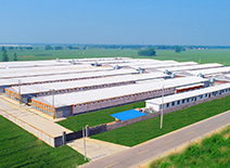 Ag亚洲集团(中国区)官方网站