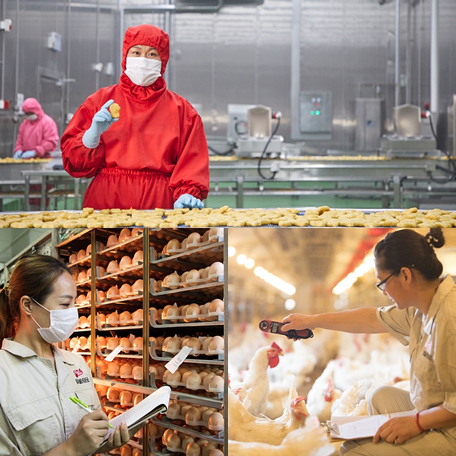 Ag亚洲集团(中国区)官方网站