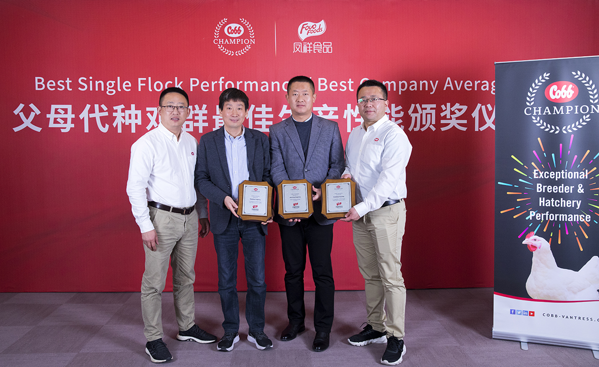 Ag亚洲集团(中国区)官方网站